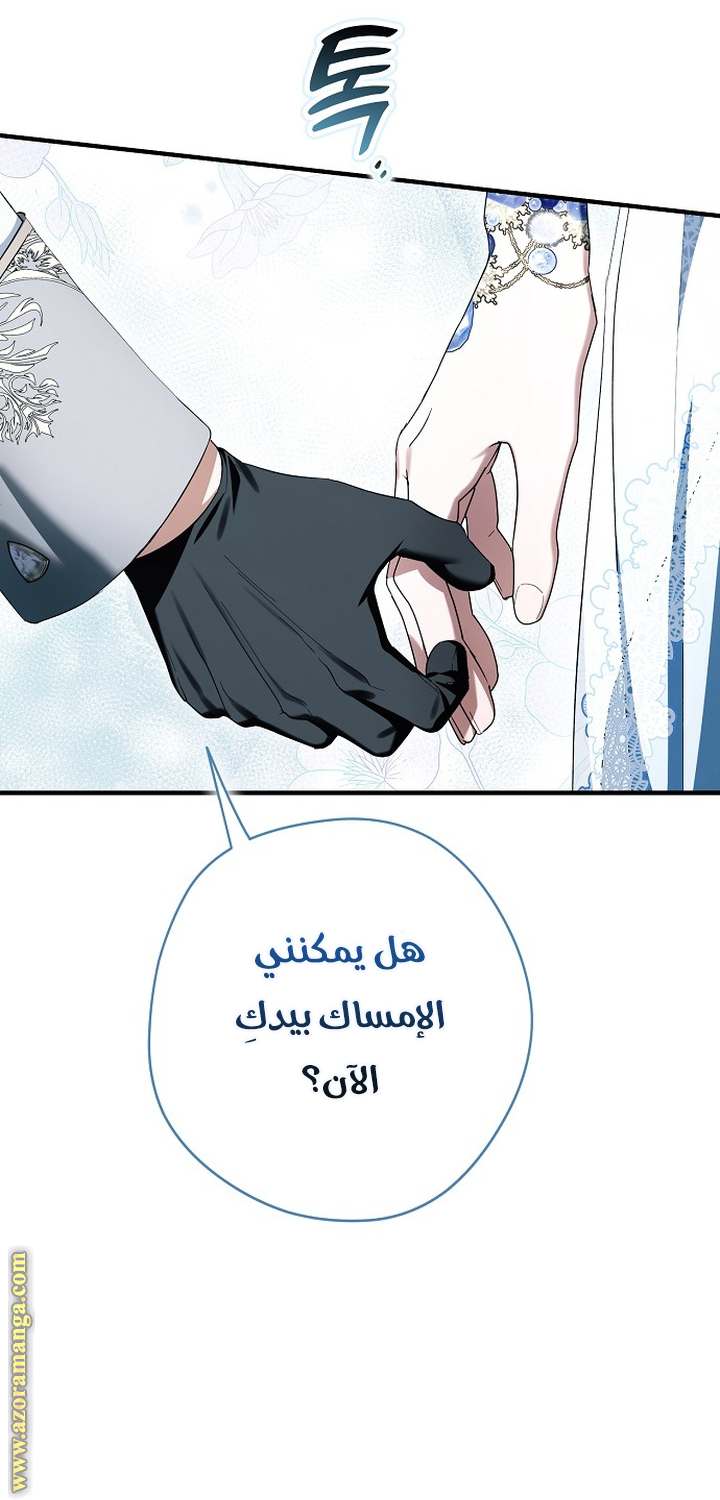الصفحة 47