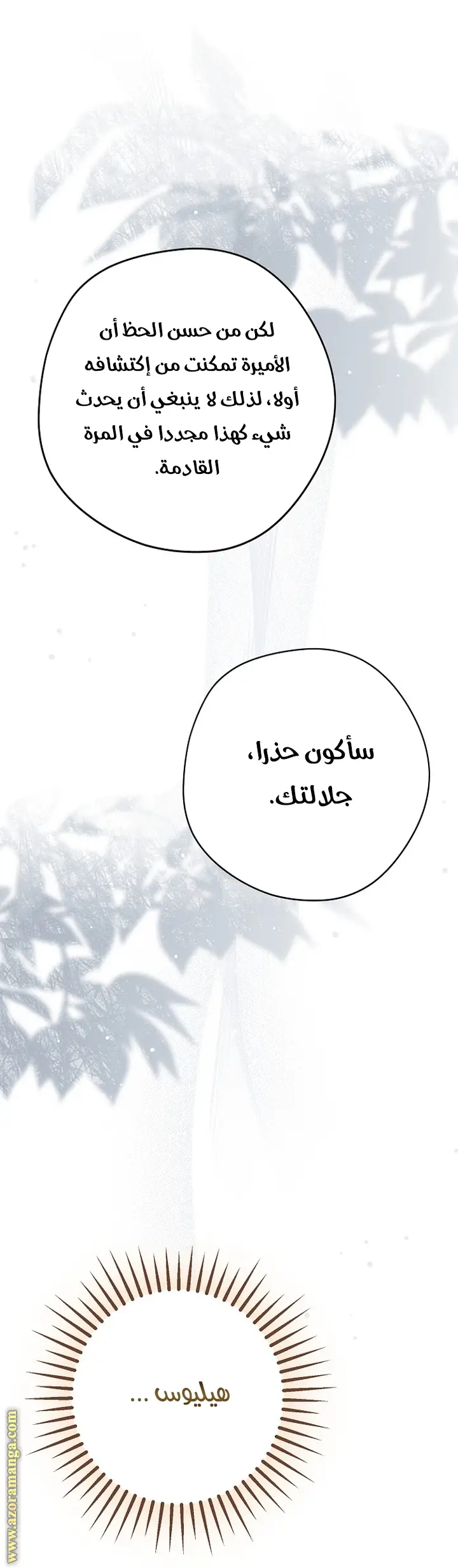 الصفحة 13