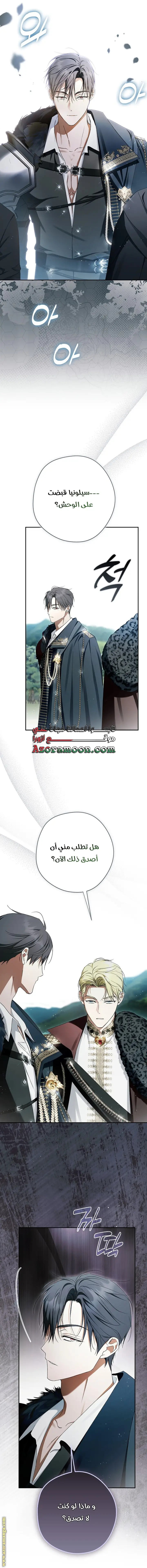 الصفحة 29
