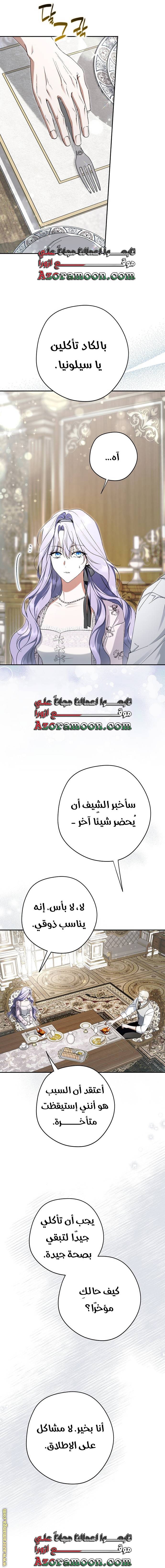 الصفحة 19