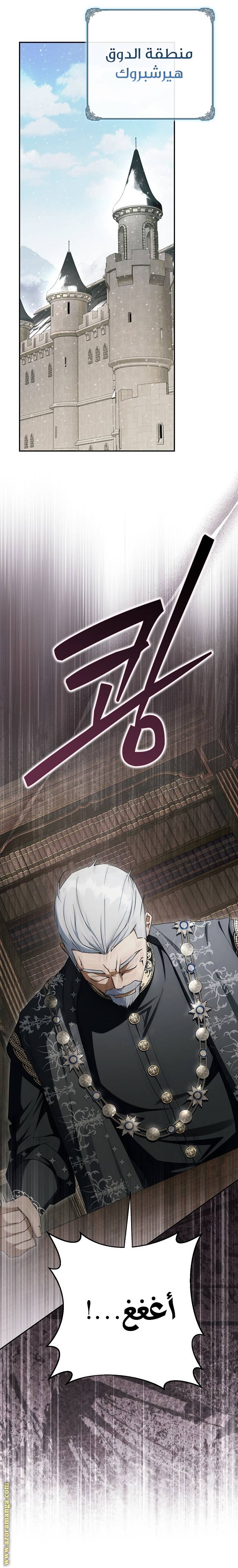 الصفحة 25