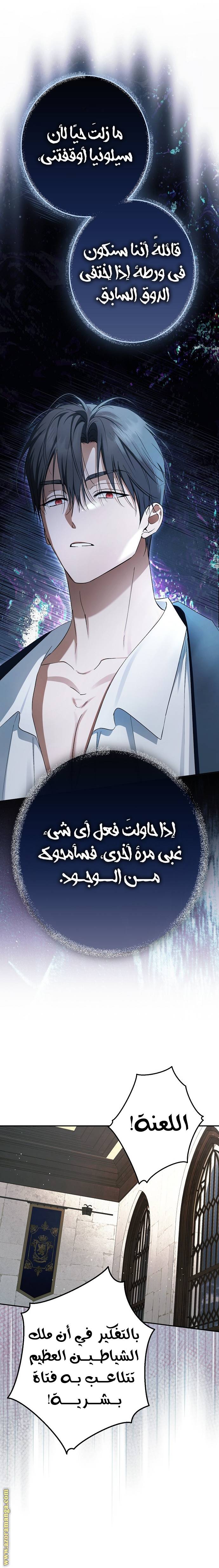 الصفحة 26