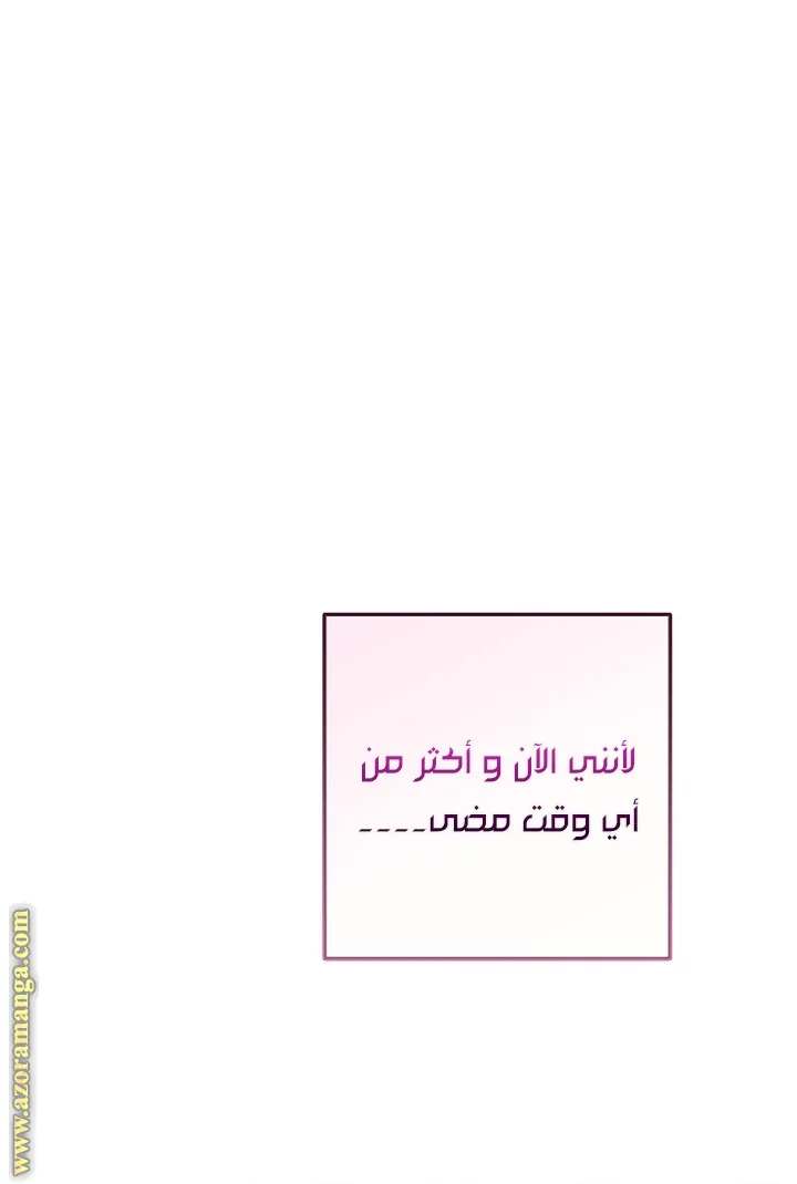 الصفحة 27
