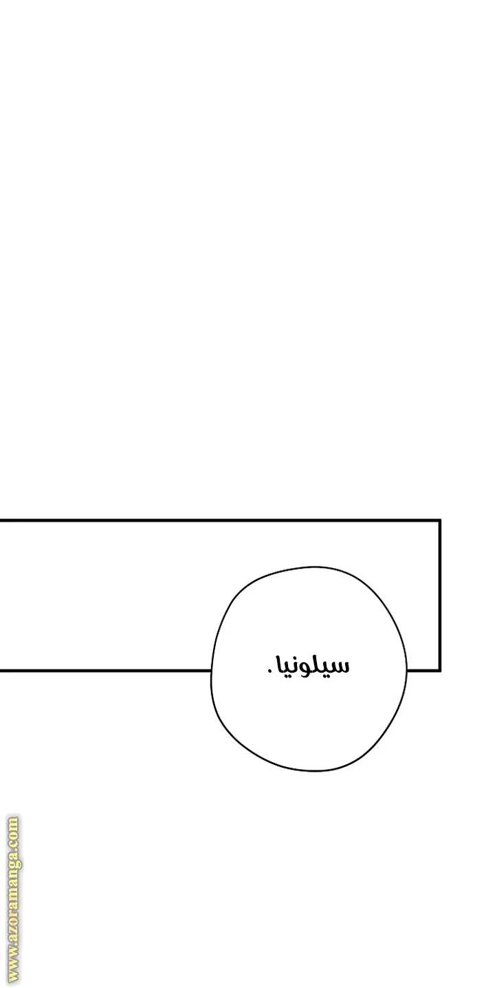 الصفحة 30