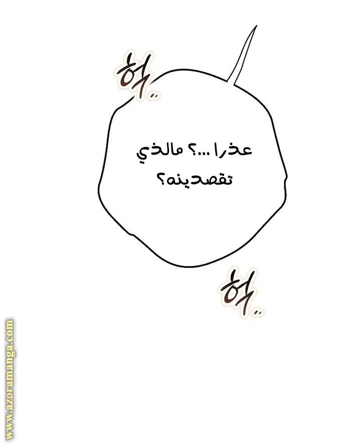 الصفحة 66