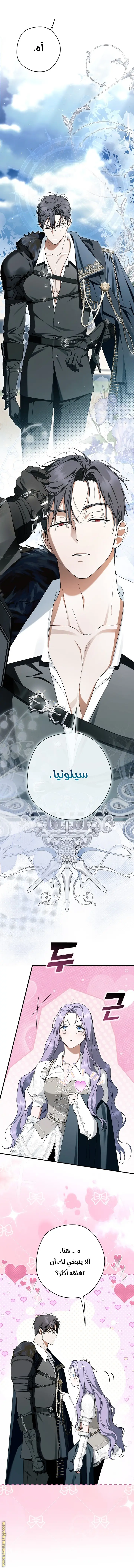 الصفحة 21