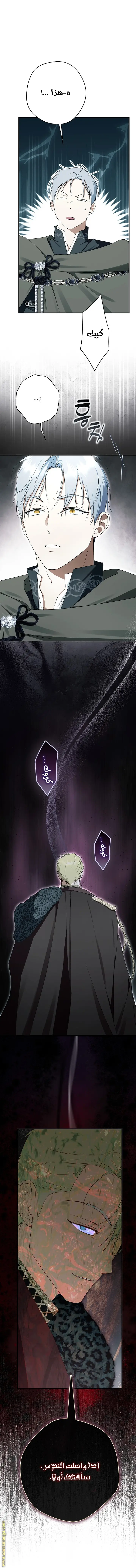 الصفحة 60