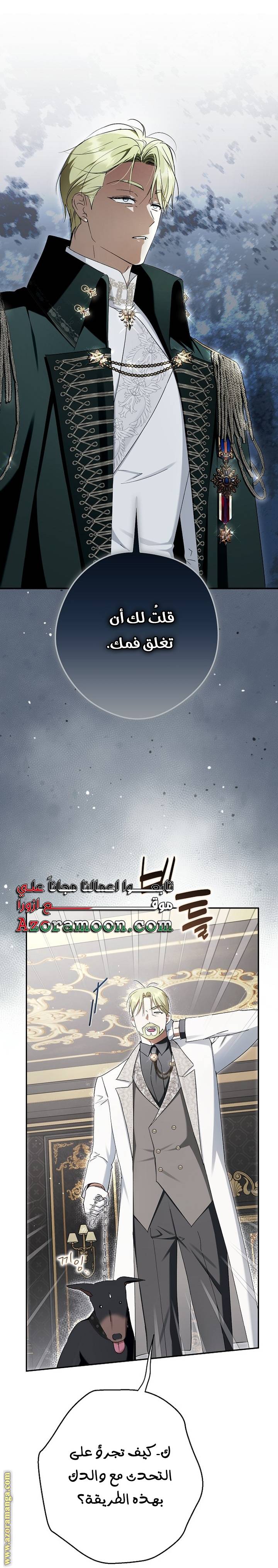 الصفحة 20