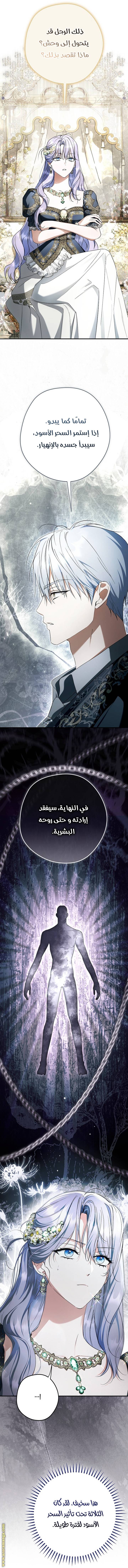 الصفحة 29