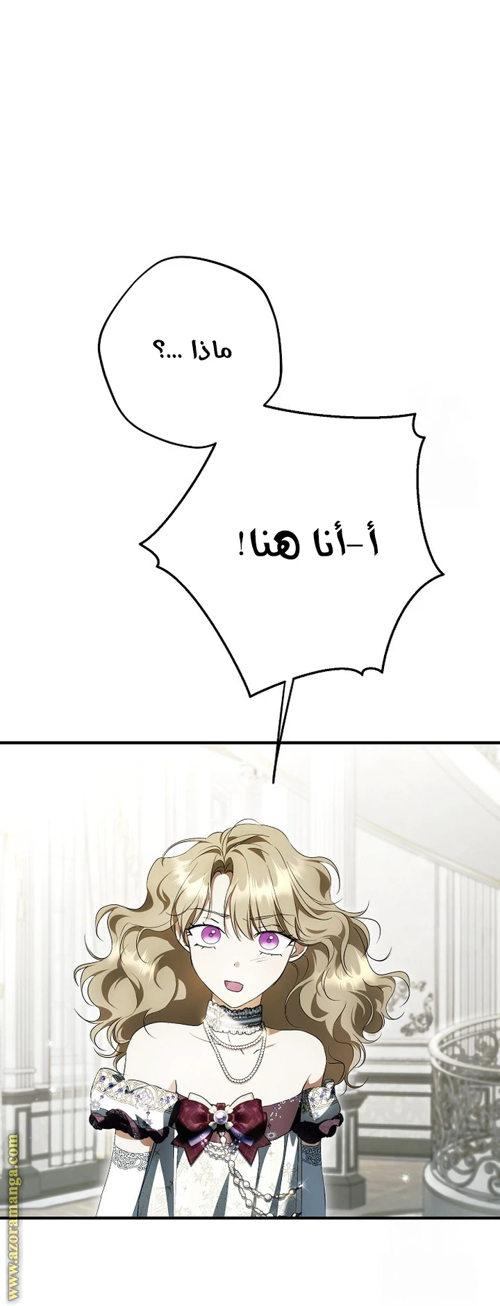 الصفحة 42
