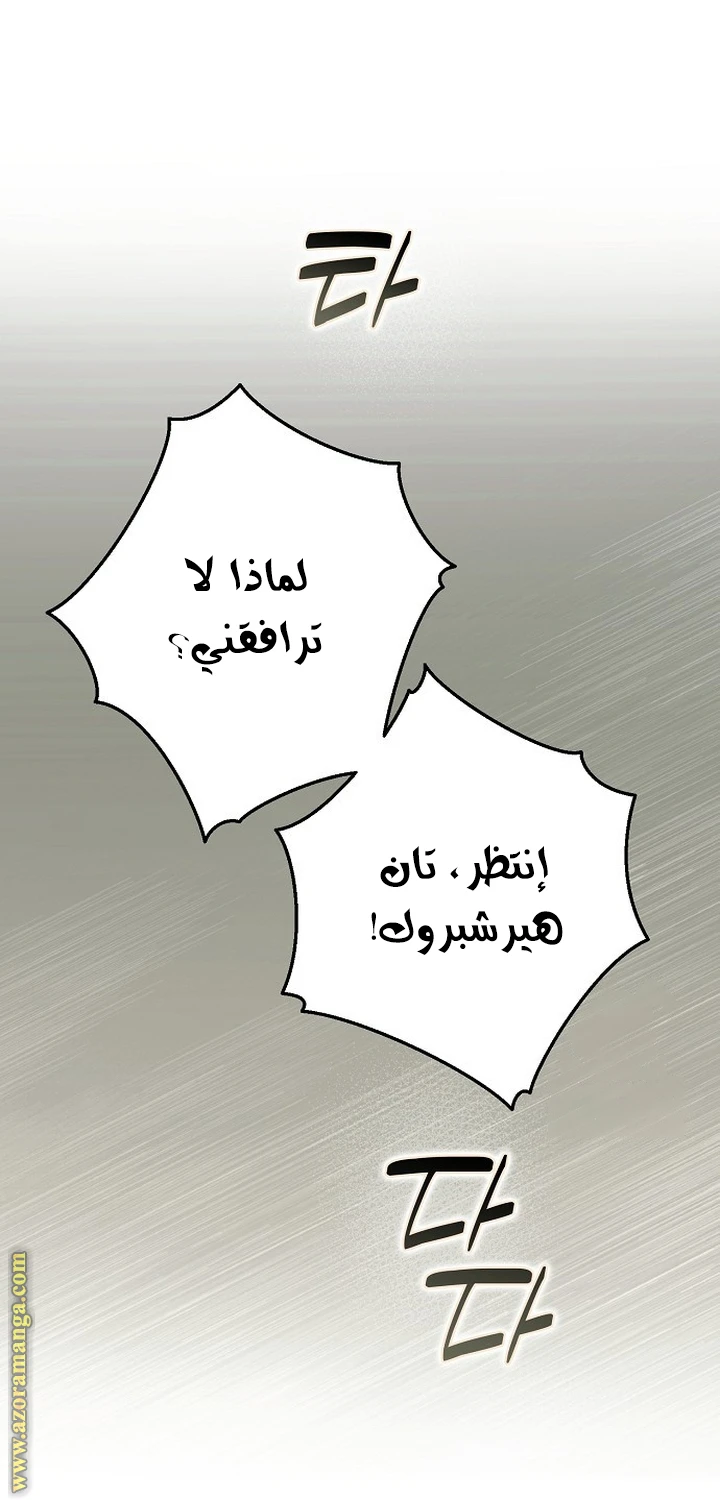 الصفحة 43