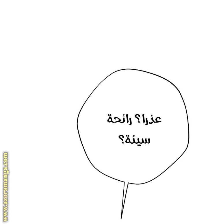 الصفحة 29