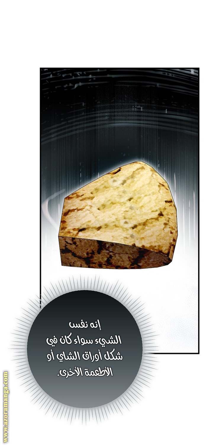 الصفحة 31