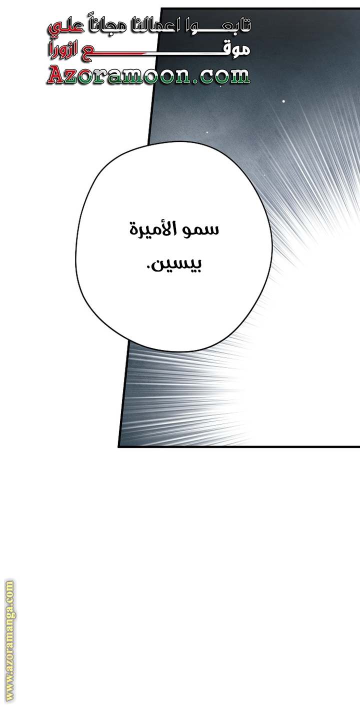 الصفحة 46