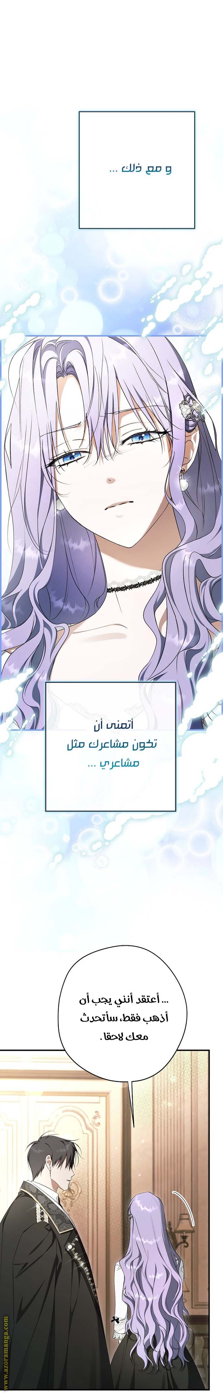 الصفحة 27