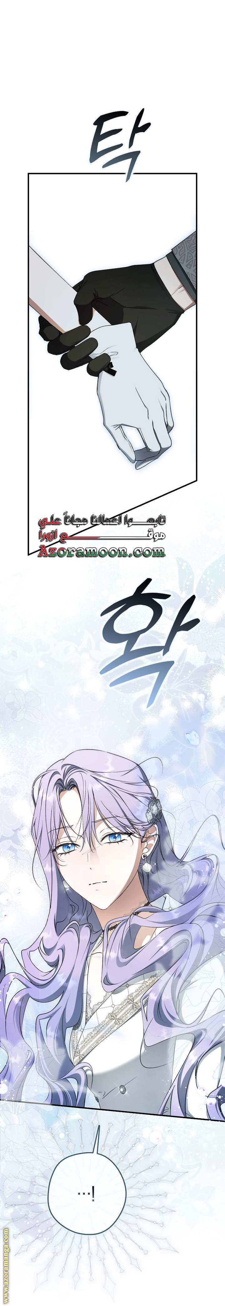 الصفحة 28