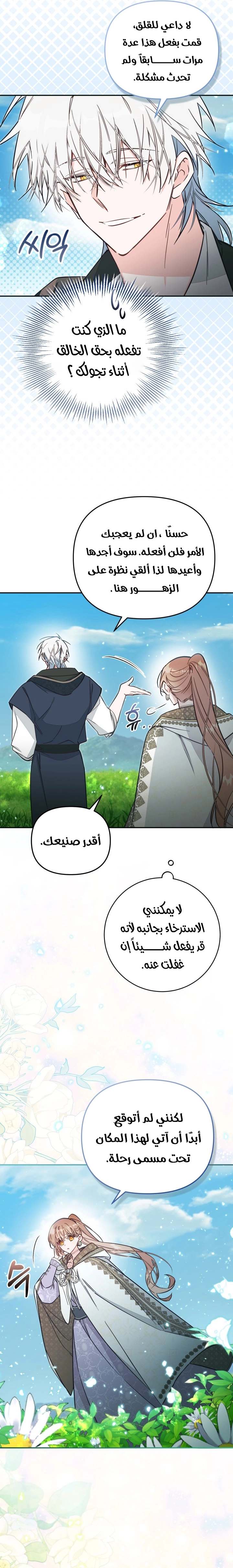 الصفحة 13