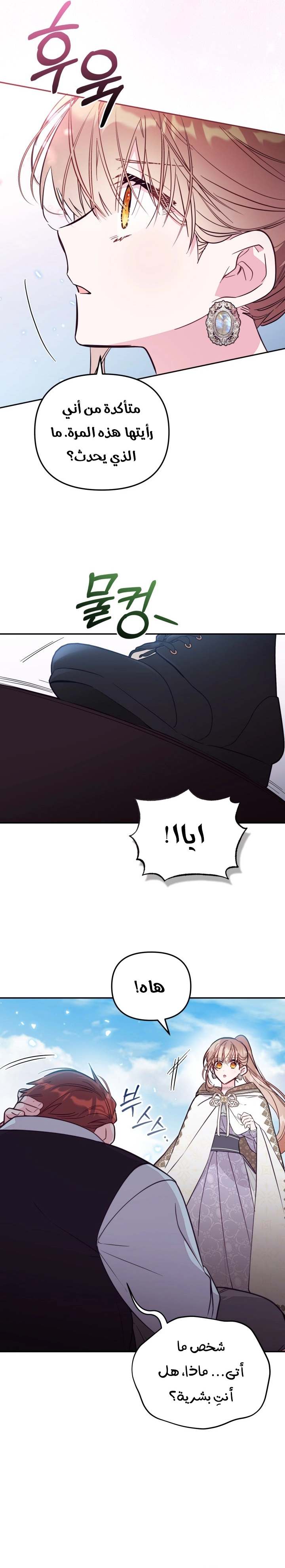 الصفحة 20