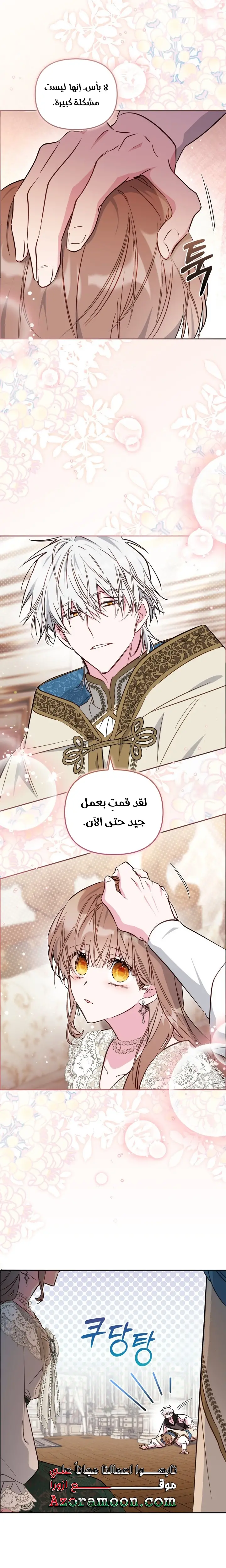 الصفحة 17