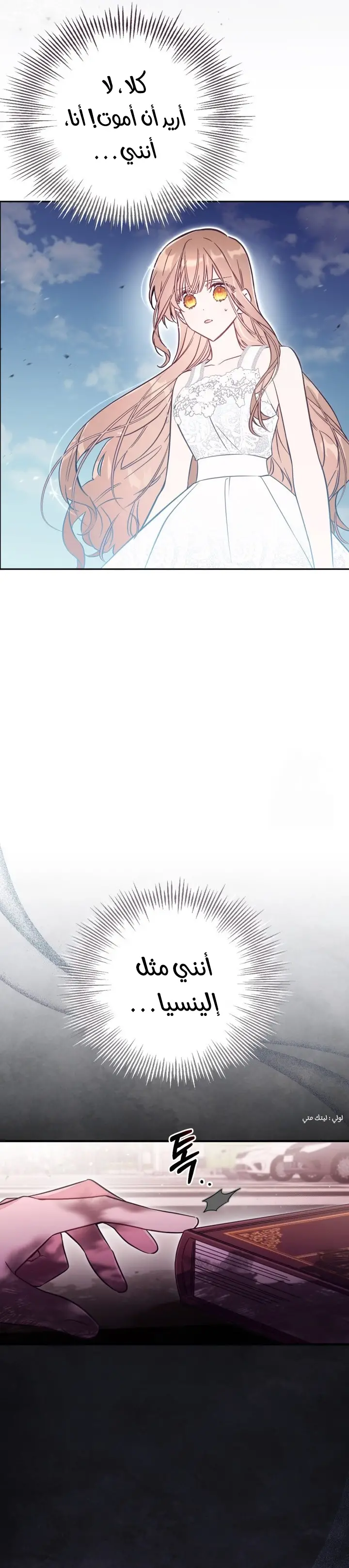 الصفحة 19