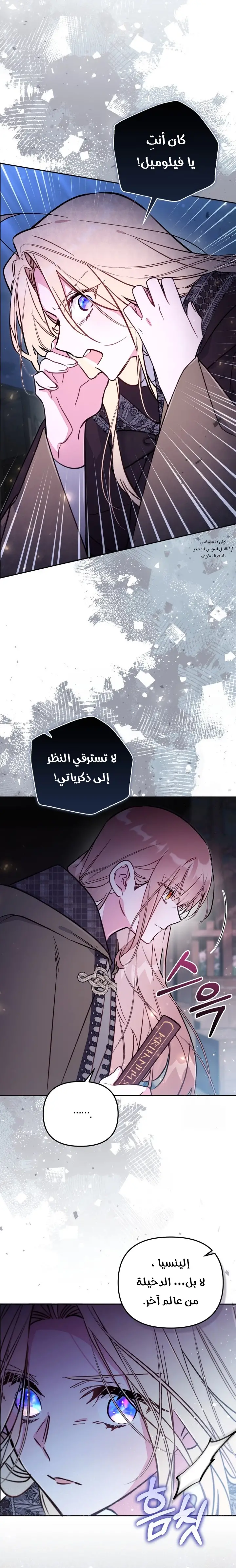 الصفحة 25