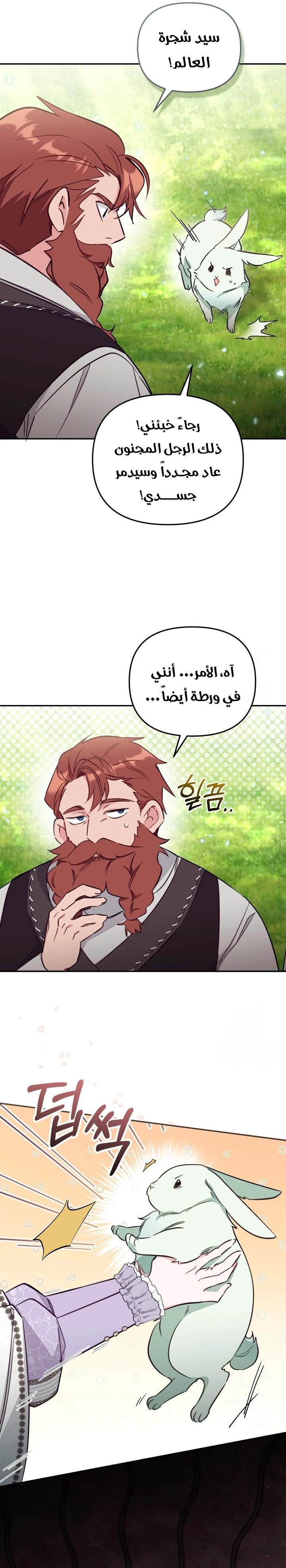 الصفحة 13