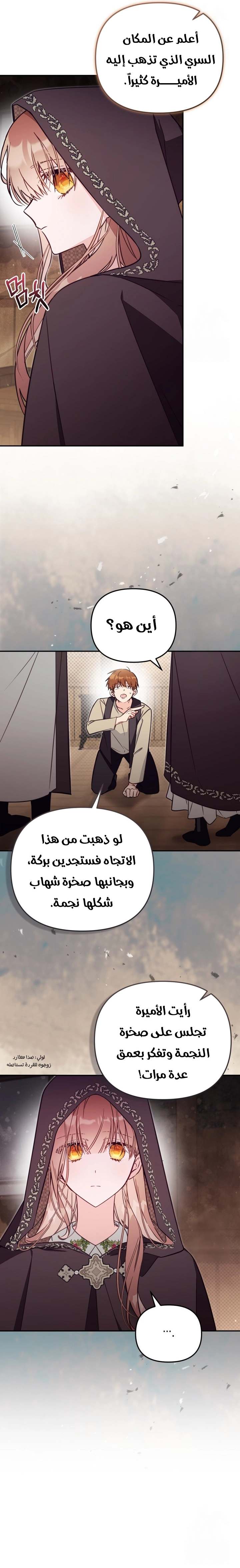 الصفحة 13