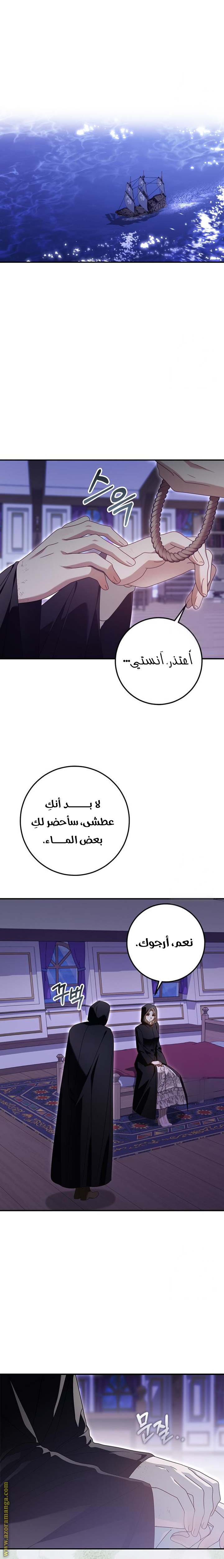 الصفحة 17