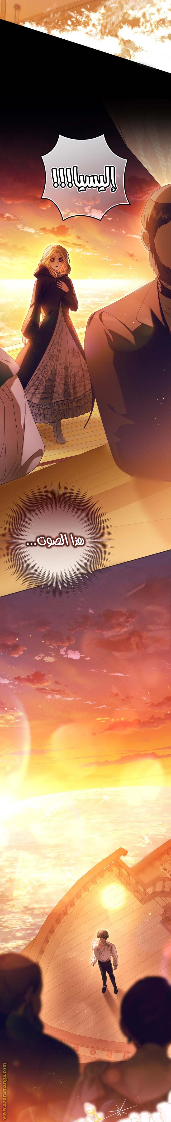 الصفحة 25