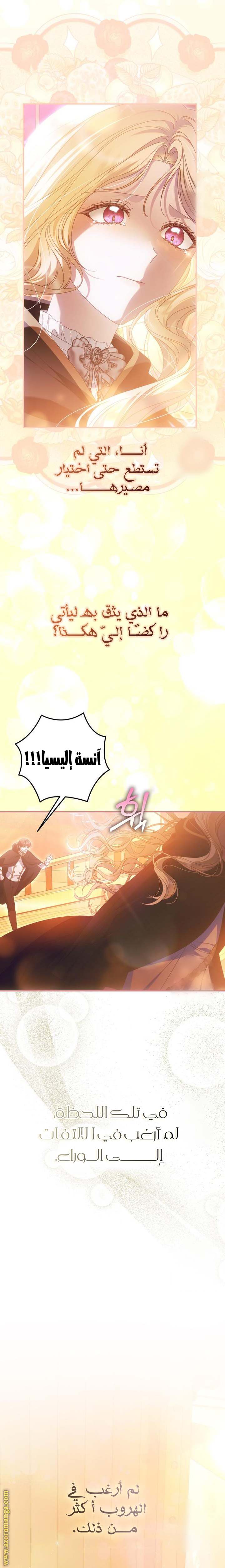 الصفحة 27