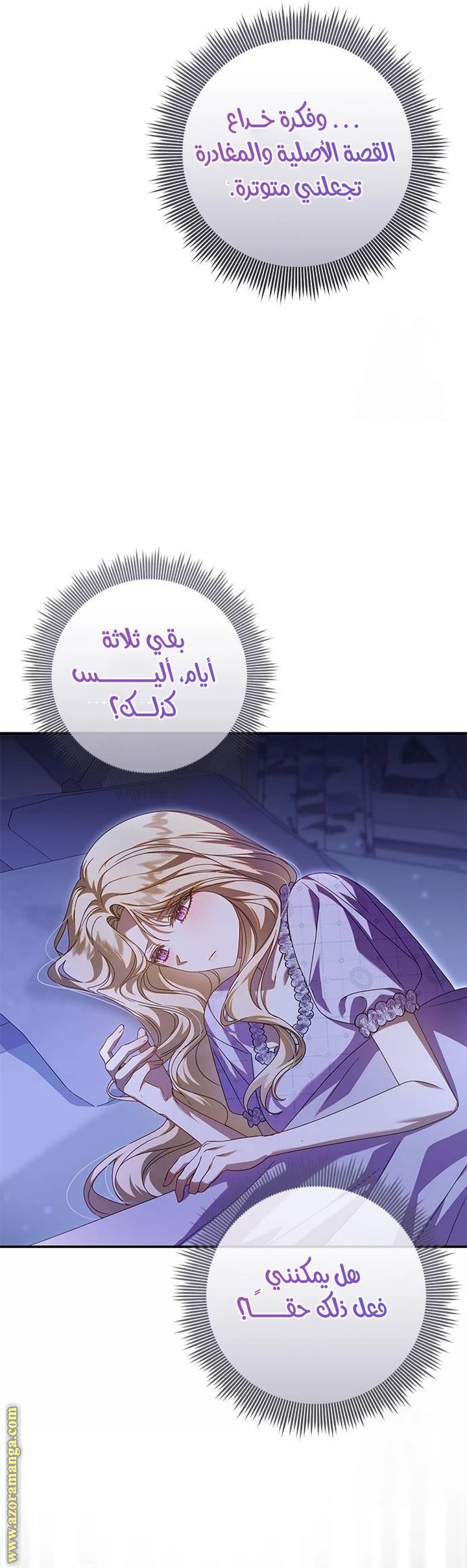 الصفحة 17
