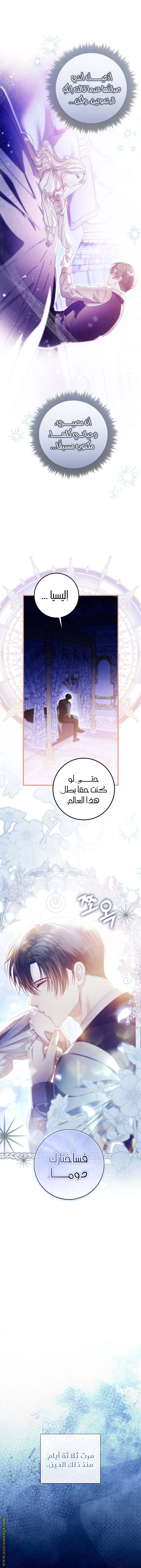 الصفحة 13