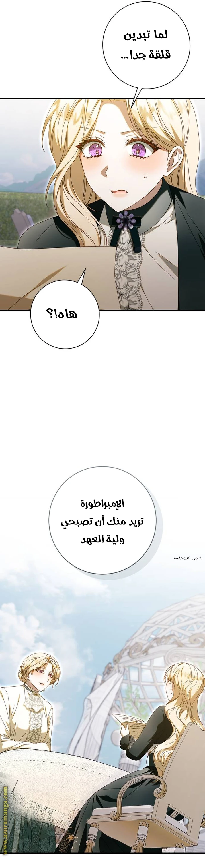 الصفحة 24