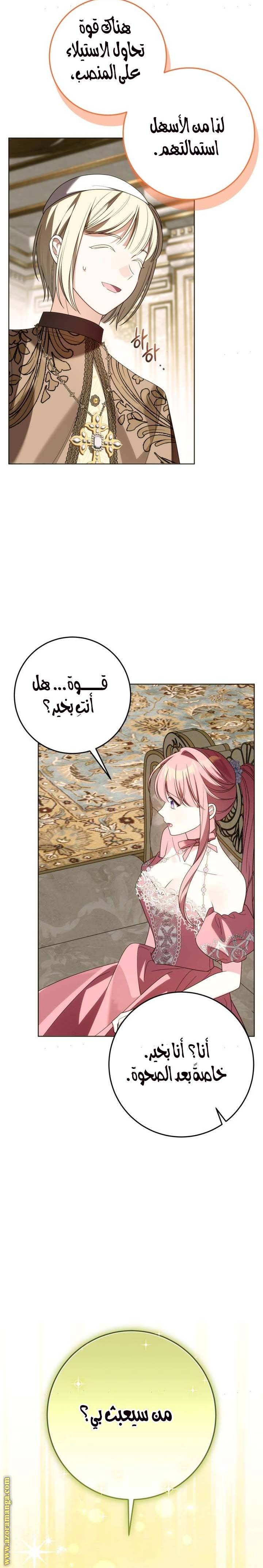 الصفحة 13