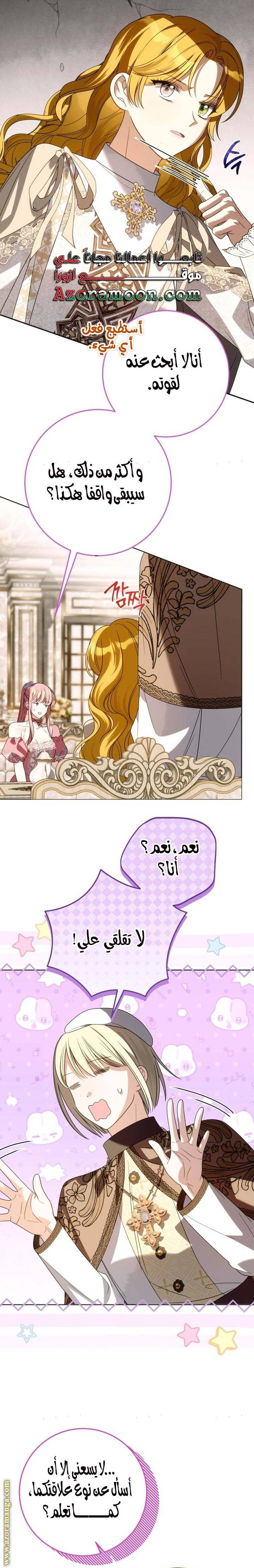 الصفحة 17