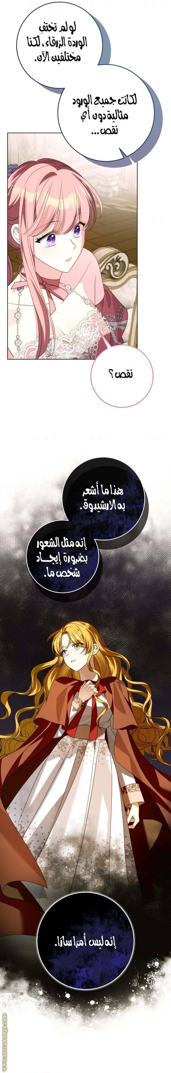 الصفحة 24