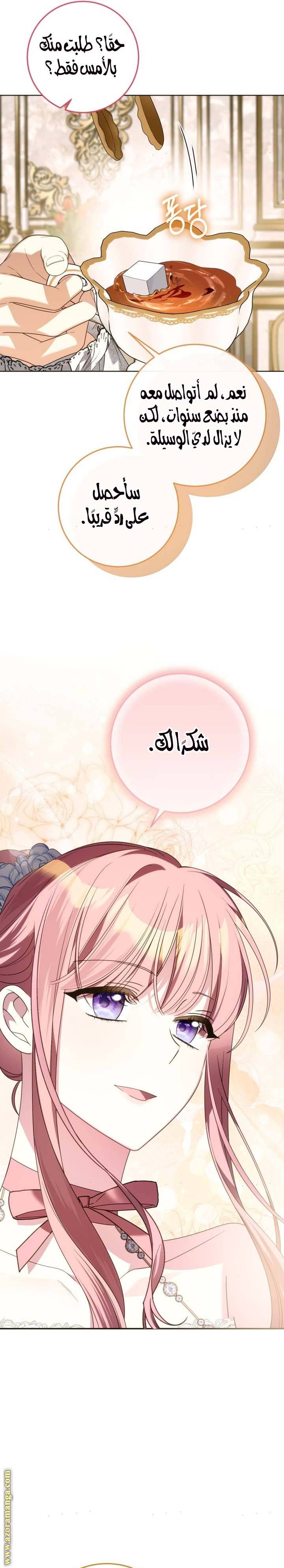 الصفحة 28