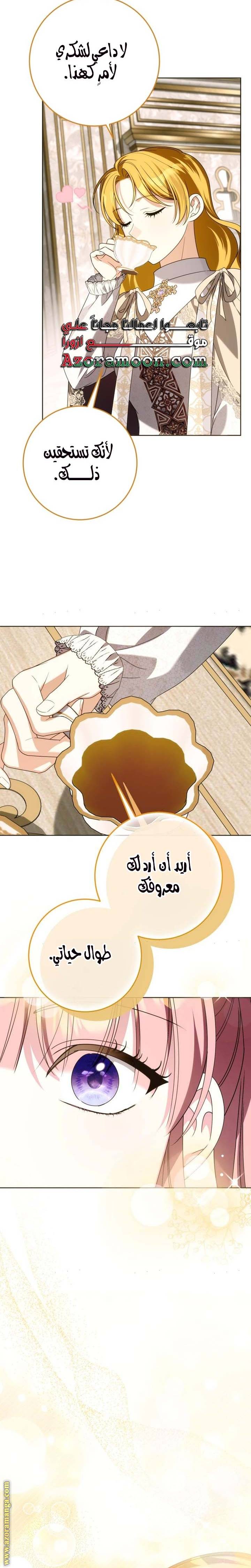 الصفحة 29
