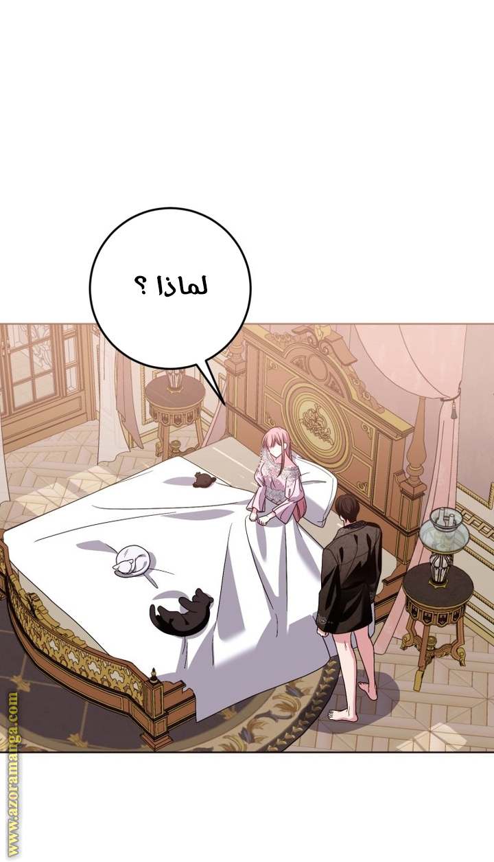 الصفحة 25