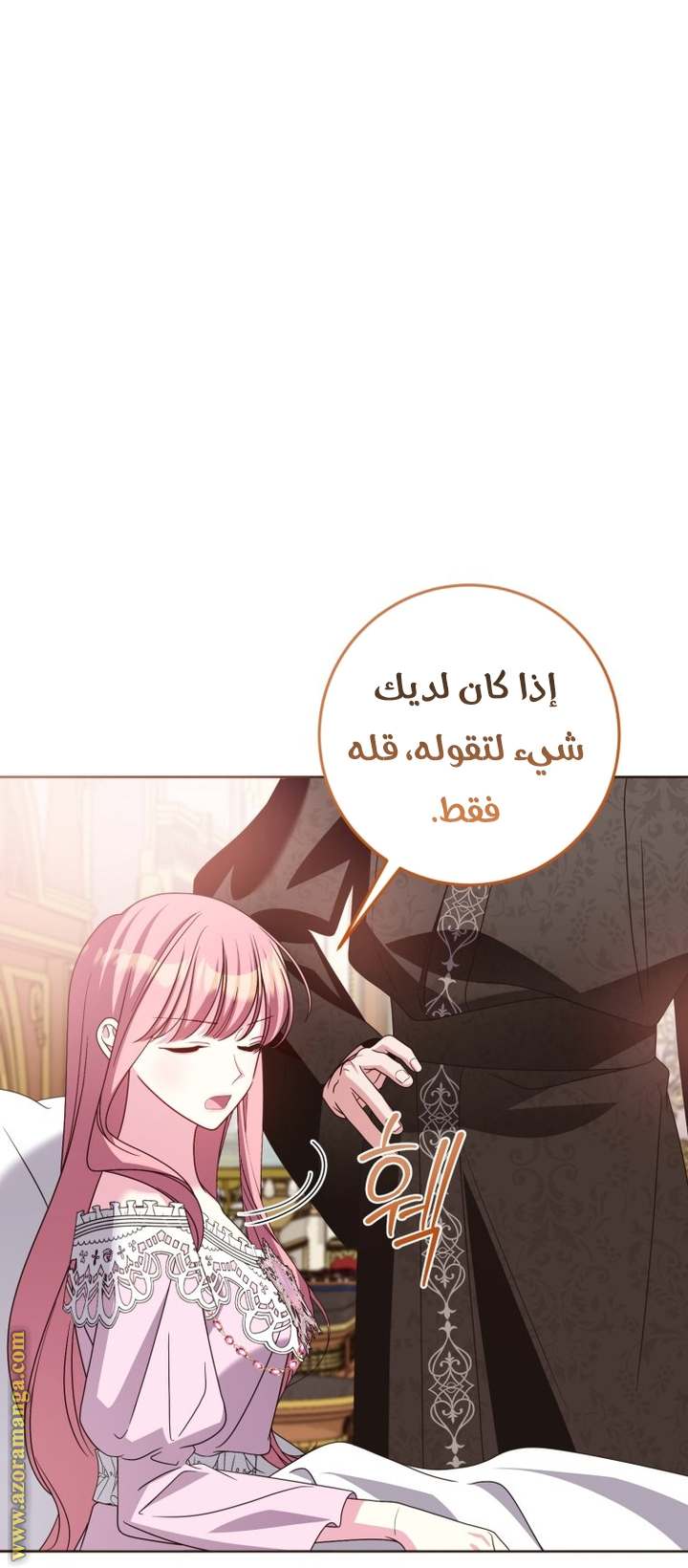 الصفحة 27
