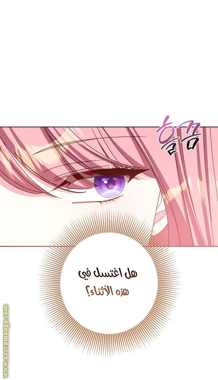 الصفحة 28