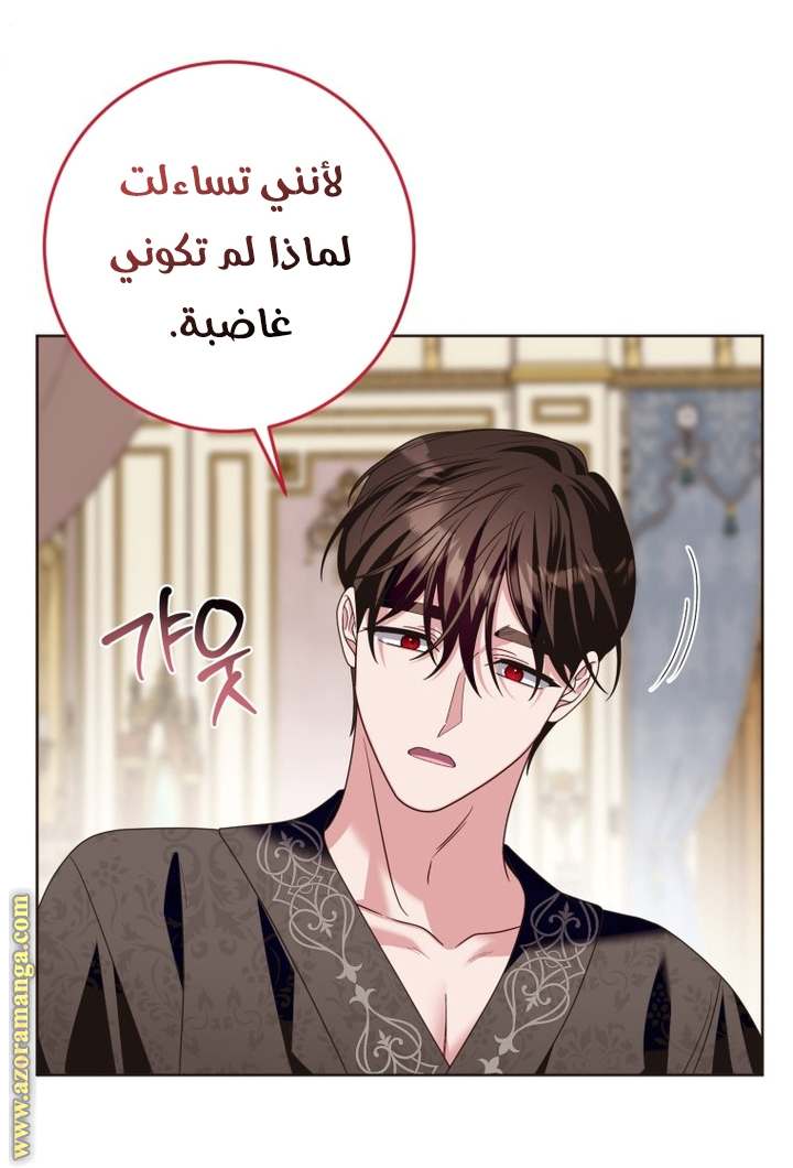 الصفحة 30