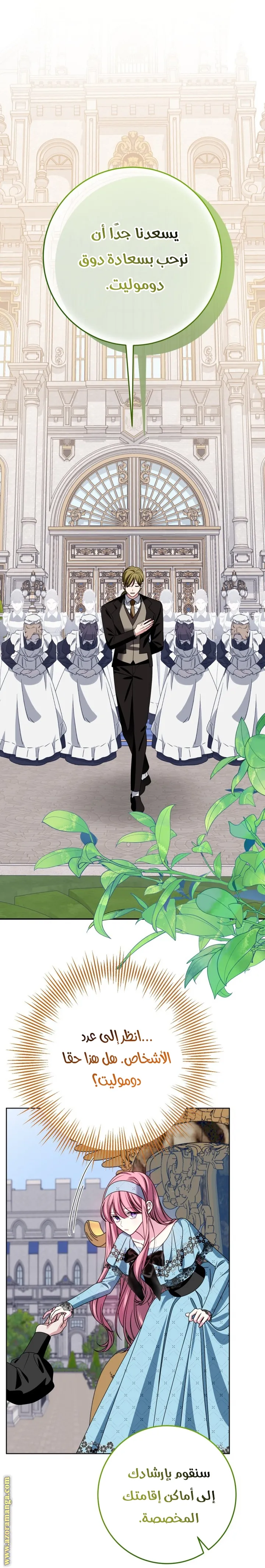 الصفحة 12
