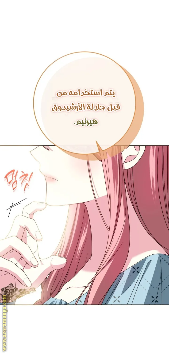 الصفحة 38