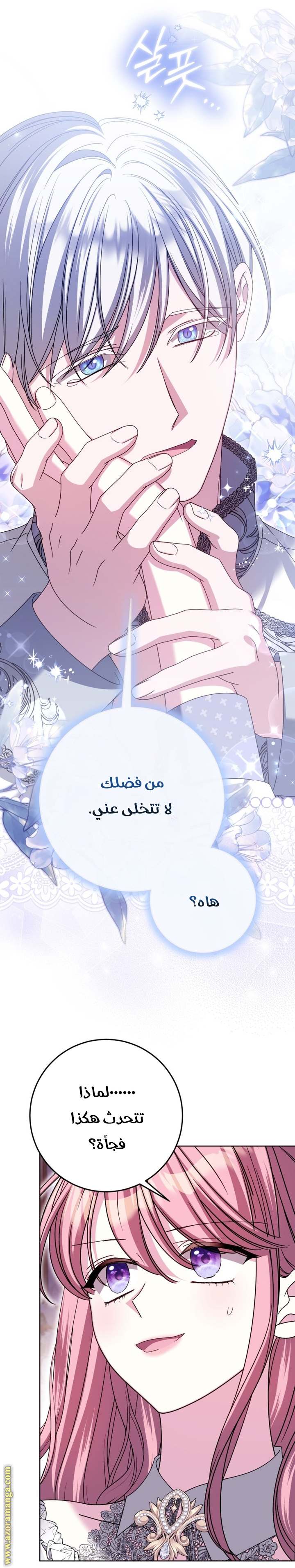 الصفحة 29