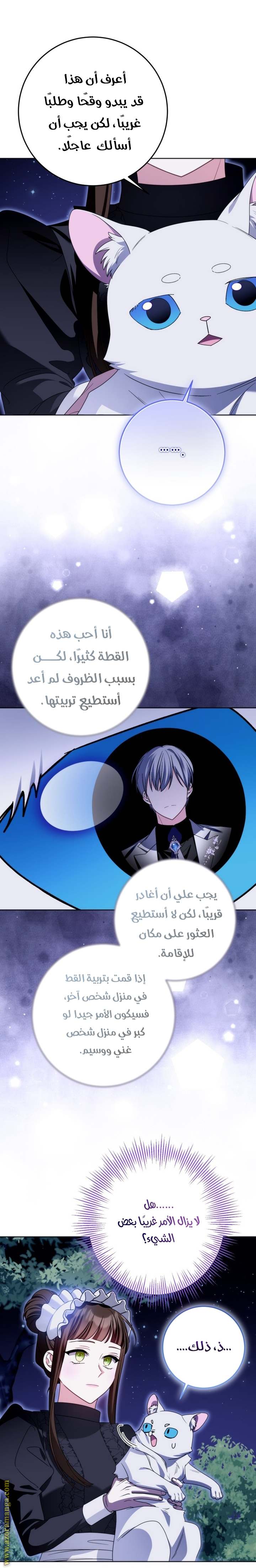 الصفحة 19