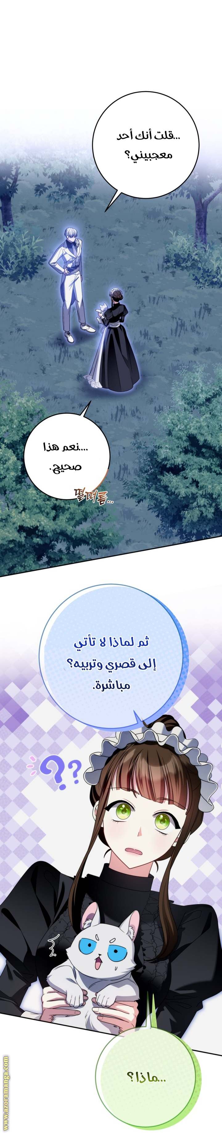 الصفحة 20