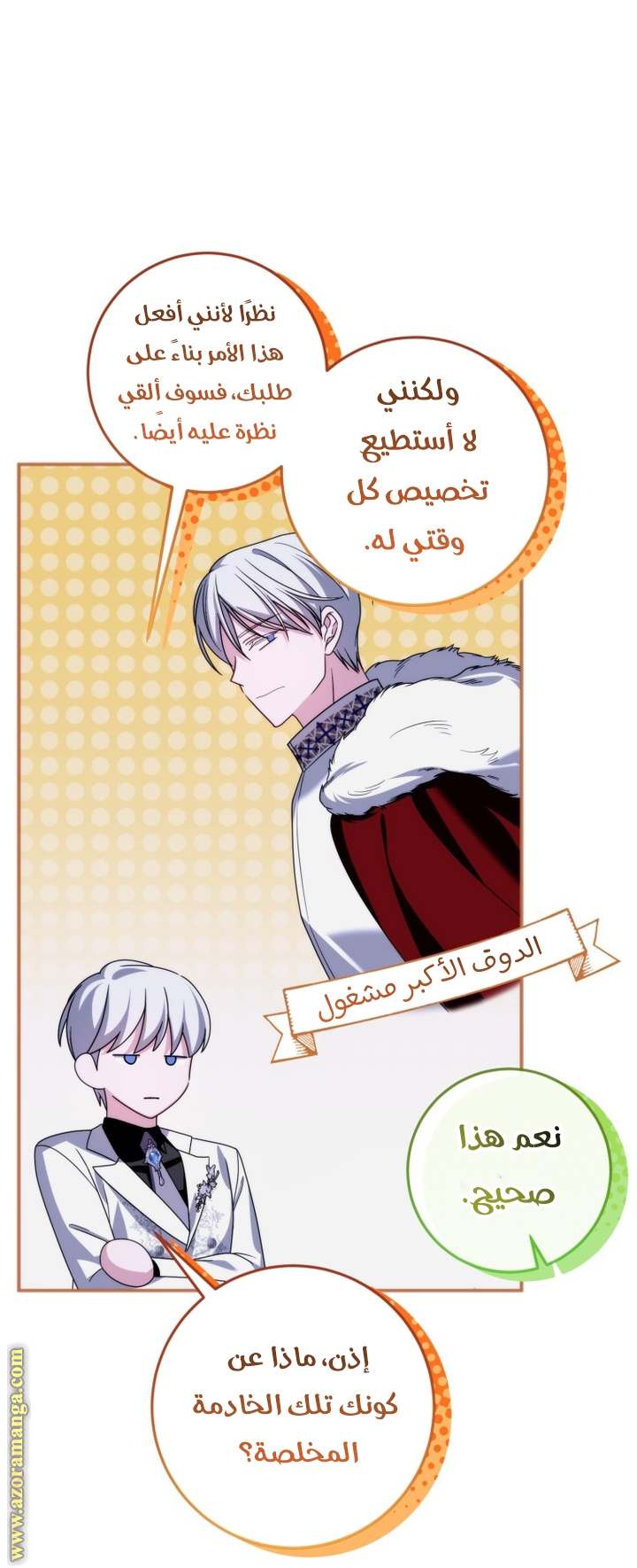 الصفحة 21