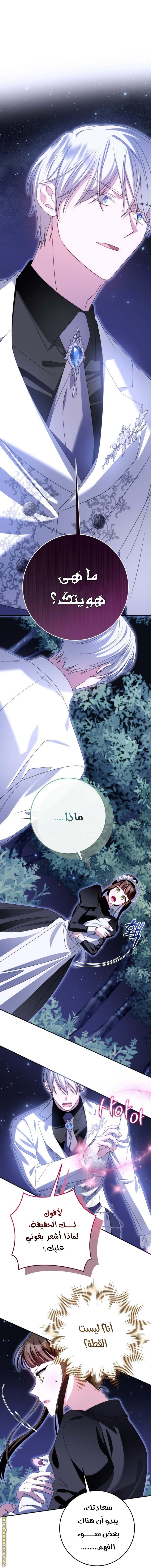 الصفحة 30