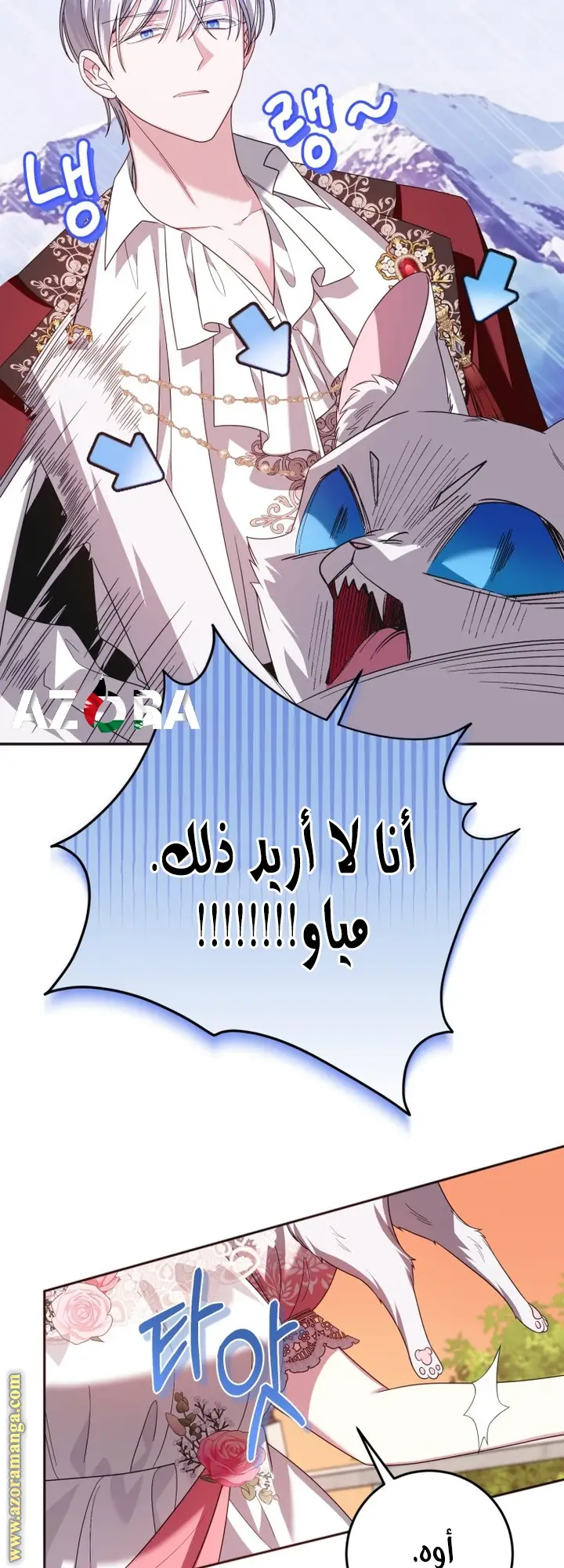 الصفحة 14
